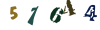 Güvenlik Kodu